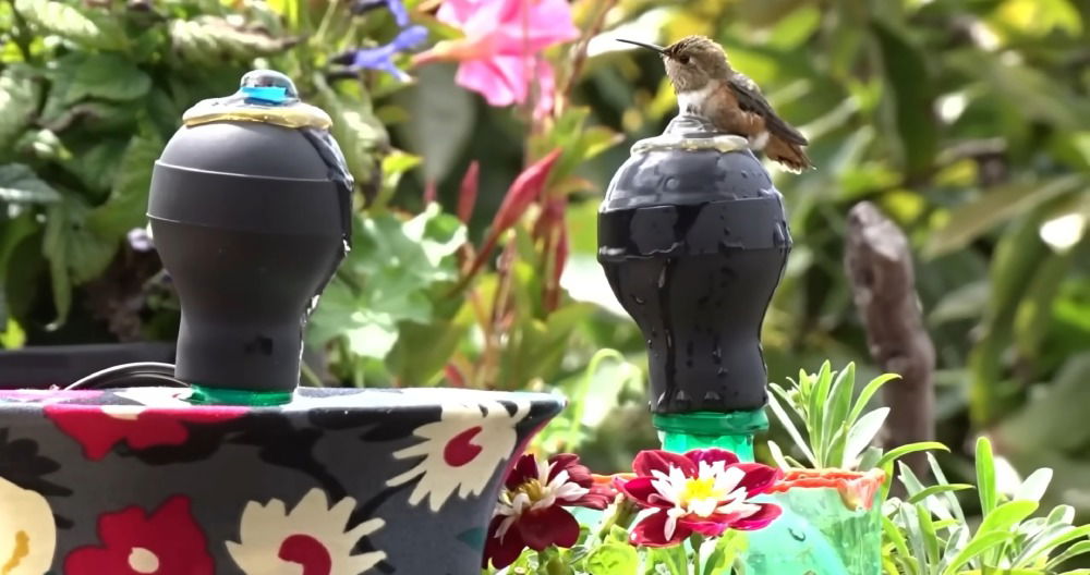 DIY bird bath