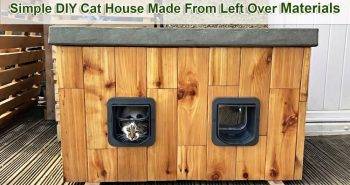 building a wooden cat house