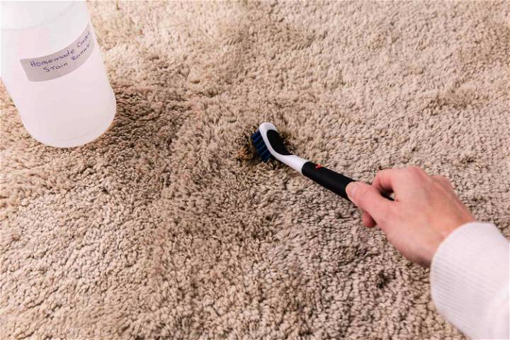 carpet cleaner solution