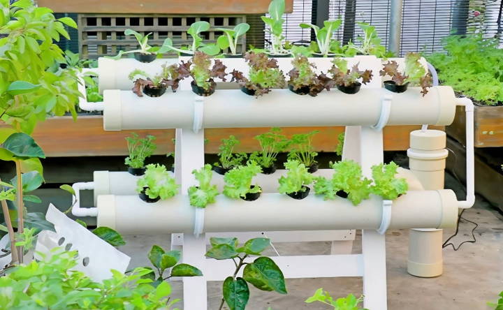 diy hydroponics system