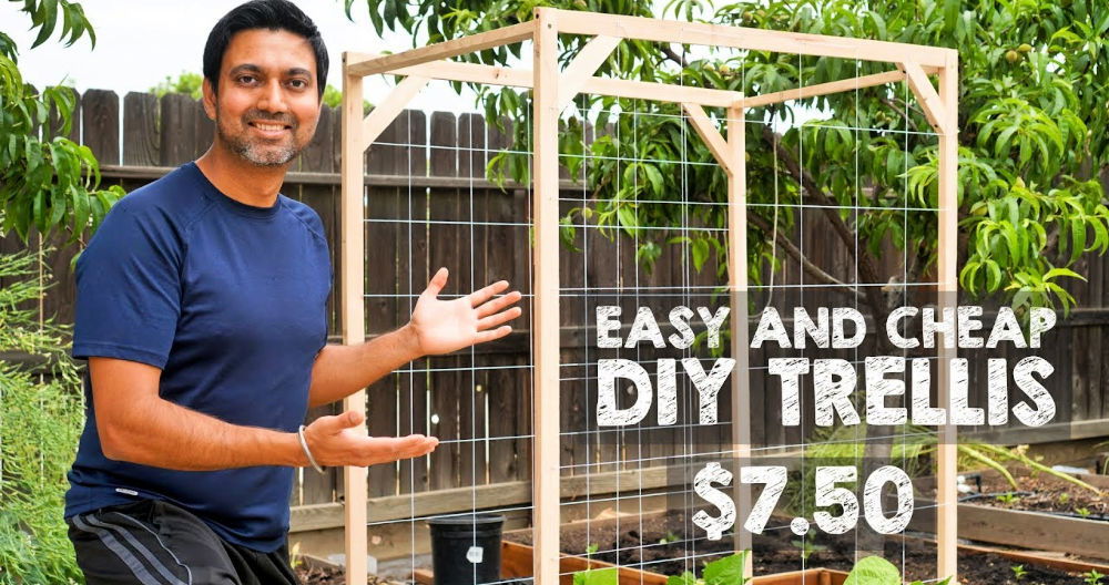 diy trellis for your garden