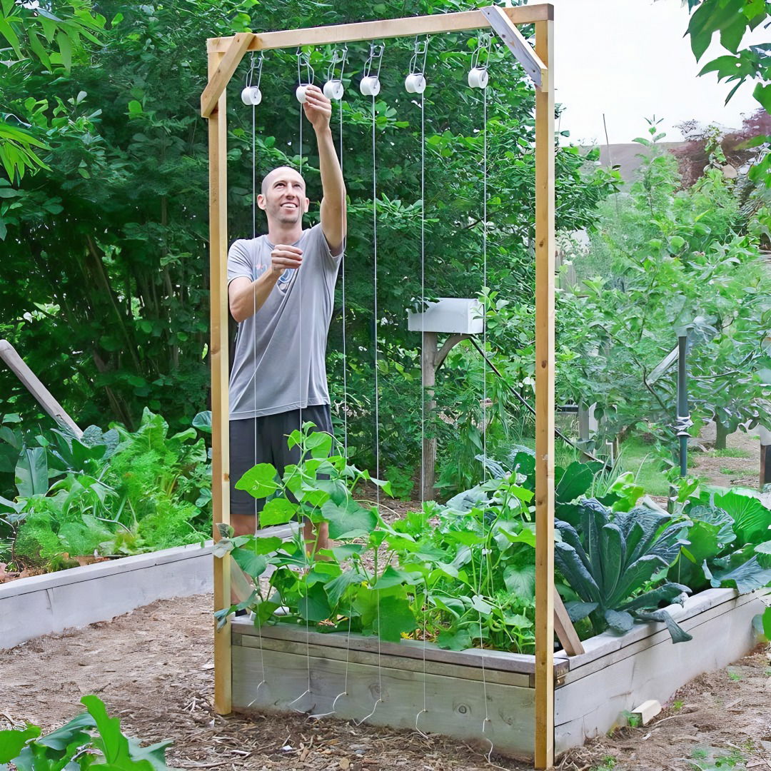 easy diy cucumber trellis