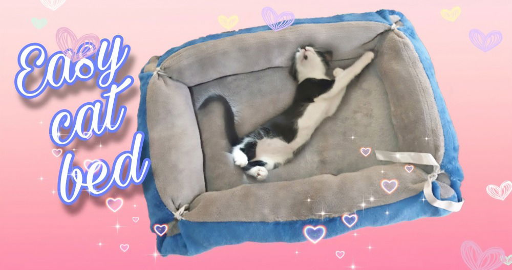 homemade cat bed