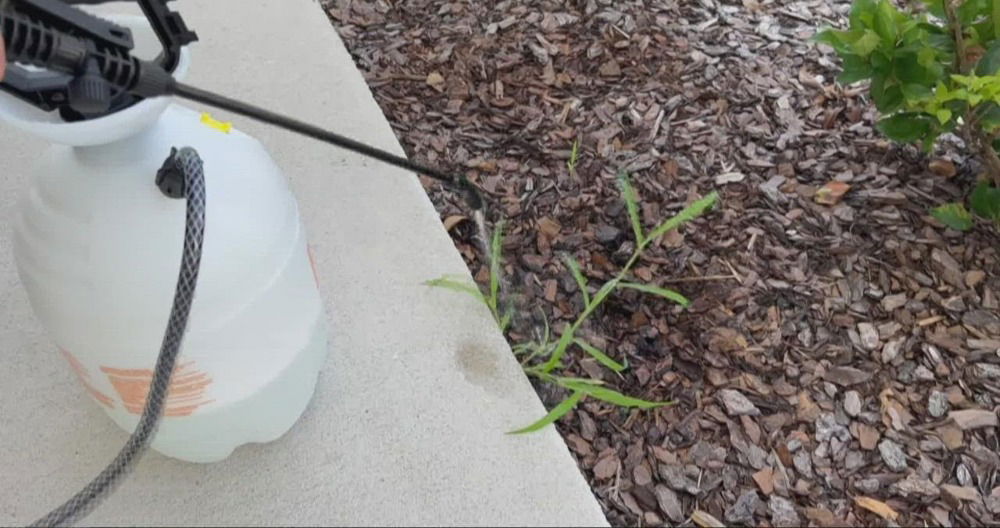 homemade diy weed killer