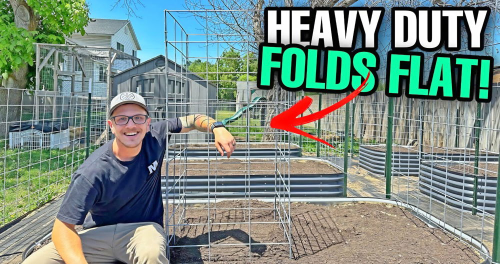 homemade heavy duty tomato cage
