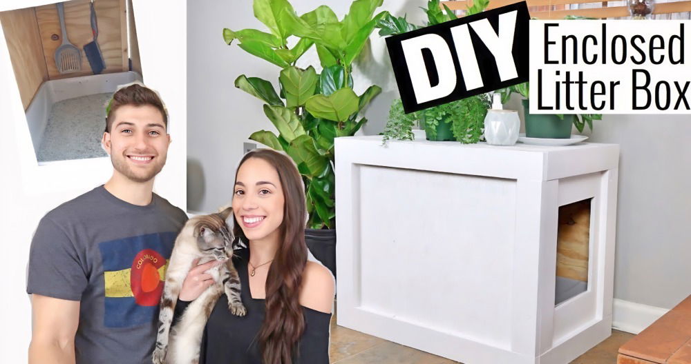 homemade litter box enclosed