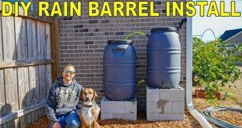 homemade rain barrel