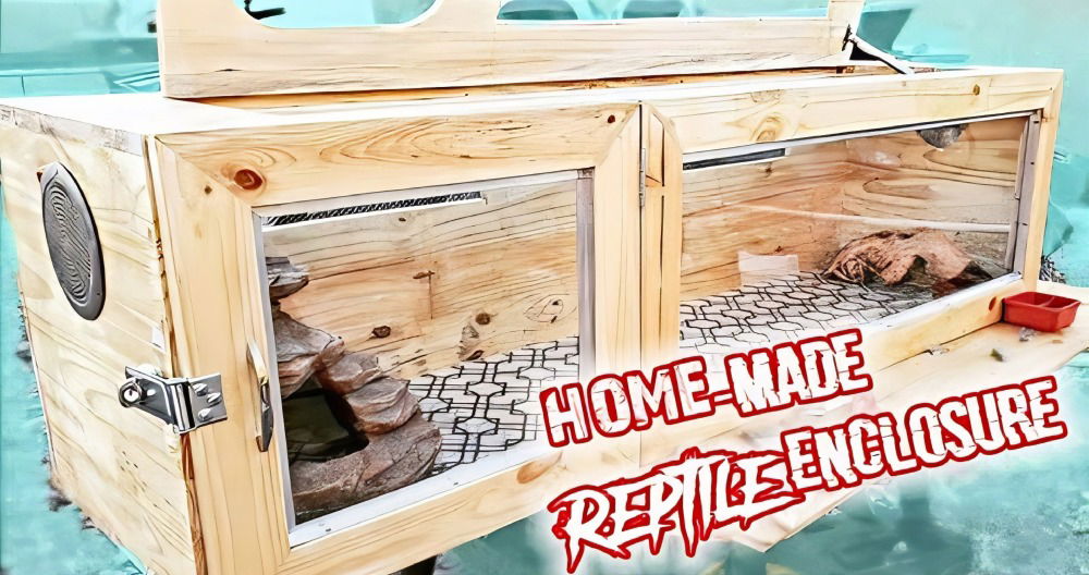 homemade terrarium for bearded dragon