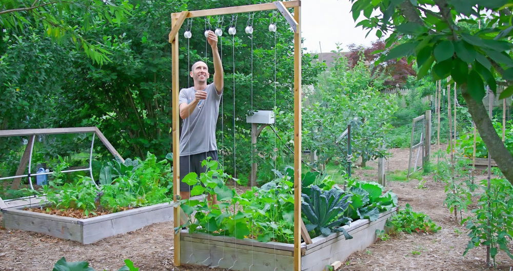 homemade wooden cucumber trellis