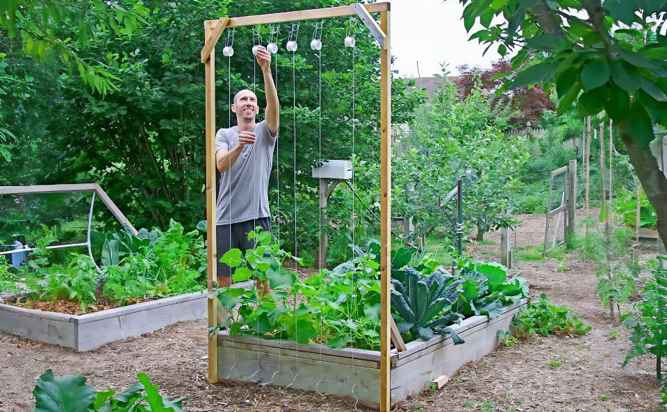 how to build a cucumber trellis