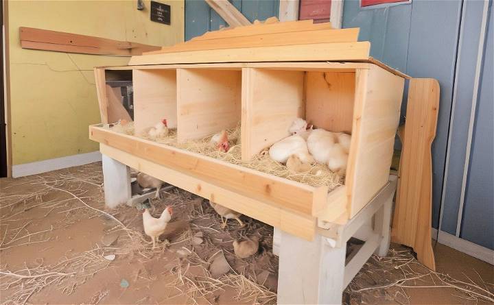 how to build chicken nesting boxes