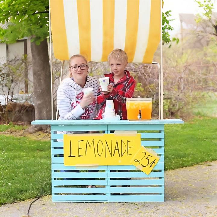 how to make a lemonade stand