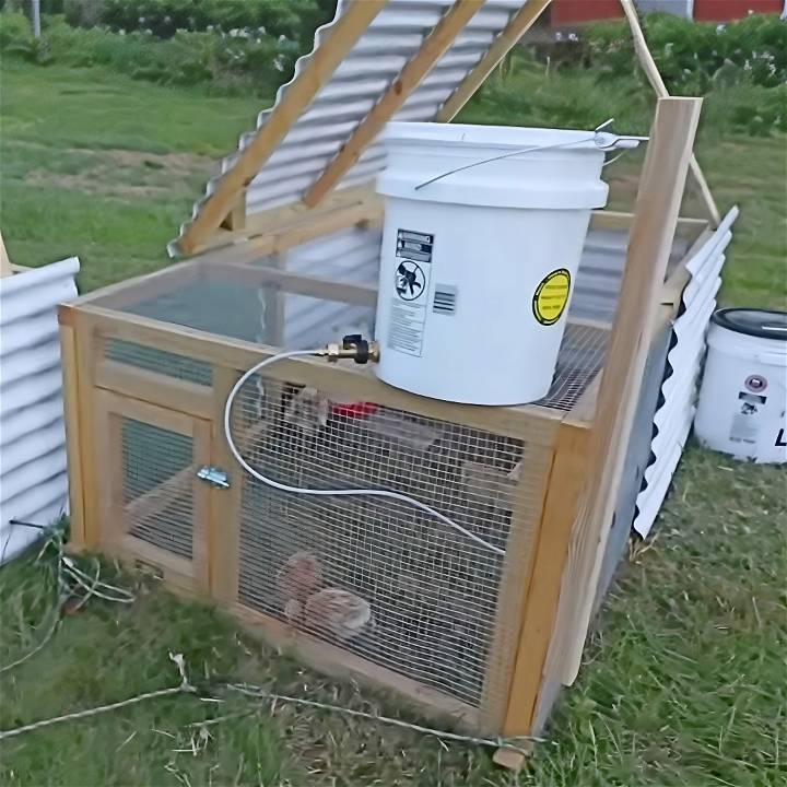 how to make a pvc pipe chicken waterer