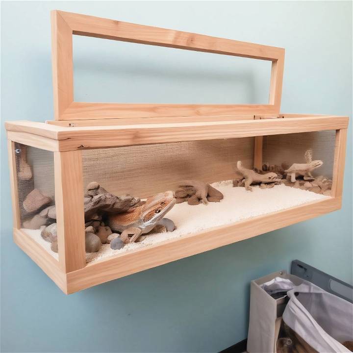 making a bearded dragon enclosure