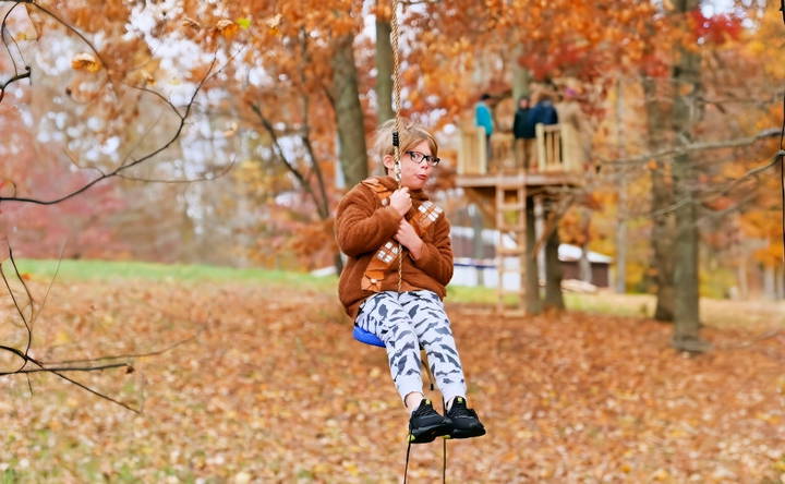 adorable diy backyard zipline