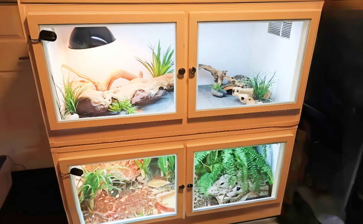 affordable diy reptile enclosure