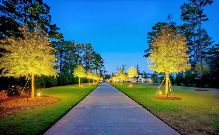 beautiful diy landscape lighting