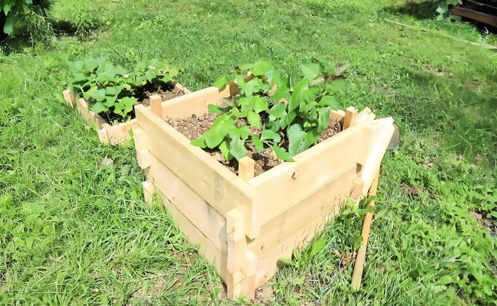 beginner friendly diy potato box