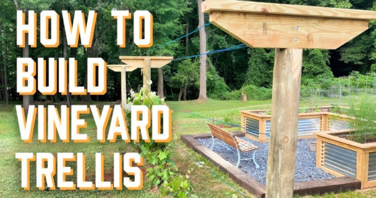 Making a DIY PVC Trellis at Home