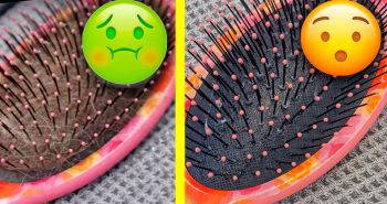 beginner’s guide to clean hairbrush