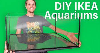 best and easiest diy aquarium tutorial