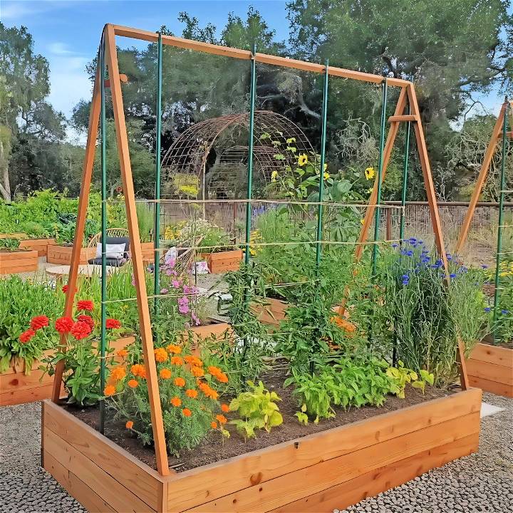 best diy tomato trellis