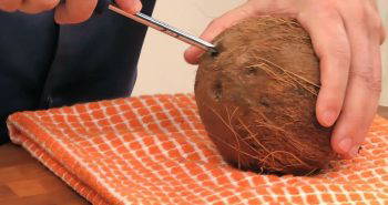 best way to crack open a coconut