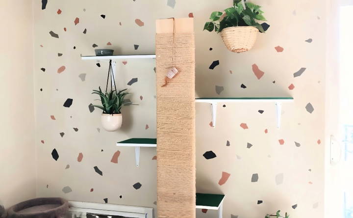 budget friendly diy cat wall