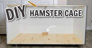 budget friendly diy hamster cage