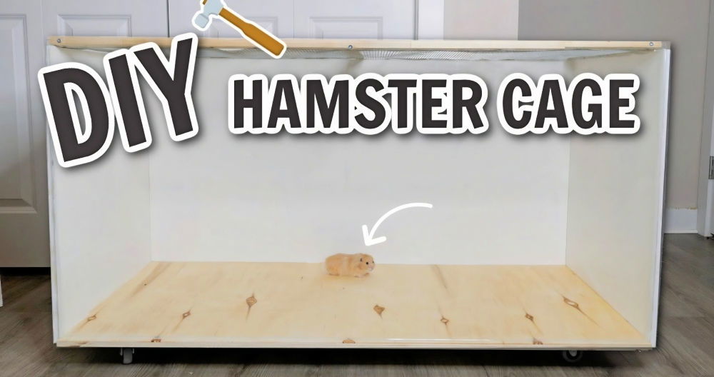 Easy DIY Hamster Cage Project for Beginners