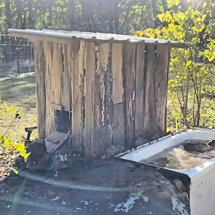 building a duck house with pool