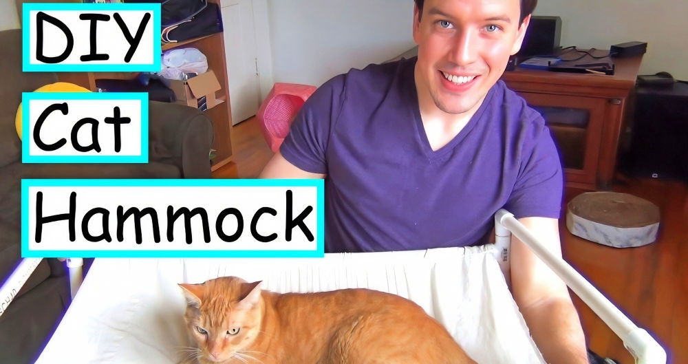 cheap and easy diy cat hammock