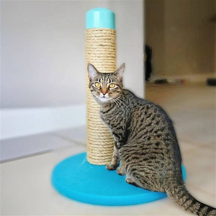 diy cat scratching post using pvc pipe