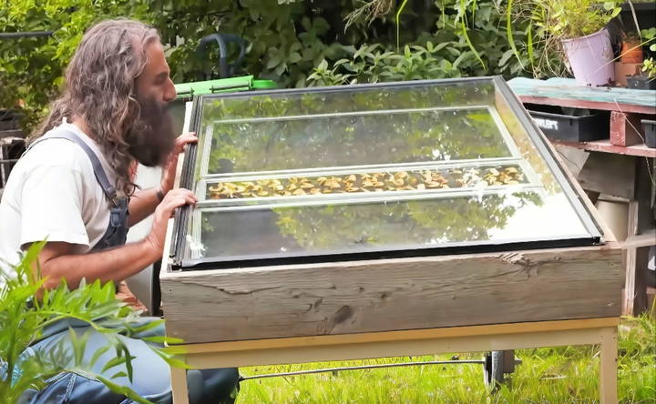 diy food dehydrator machine project