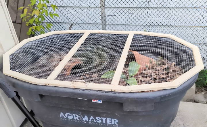 diy outdoor tortoise enclosure