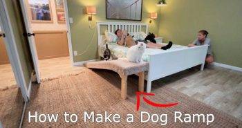 diy pet ramp