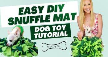 diy snuffle mat