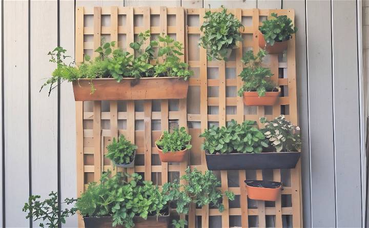 diy vertical wall garden design