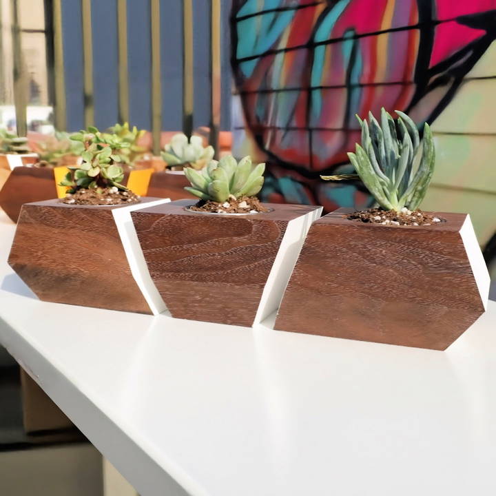 diy wooden succulent planters