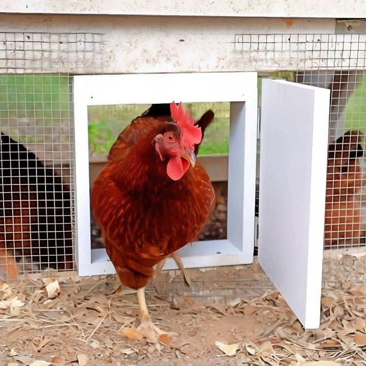 easy diy automatic chicken coop door