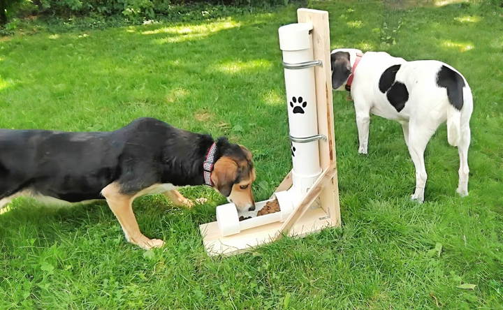 easy diy automatic dog feeder