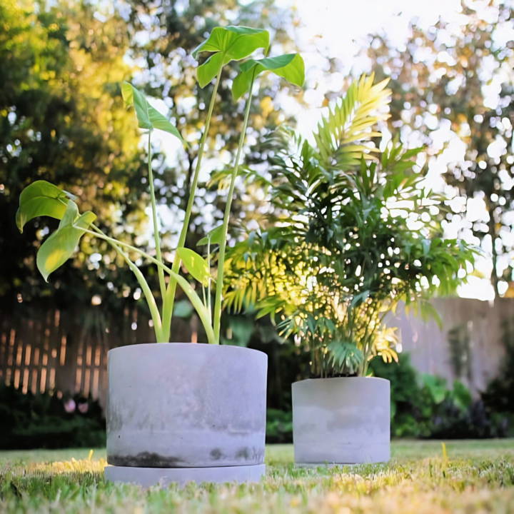 easy diy concrete planters