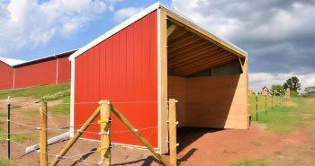 easy diy lean barn horse shelter