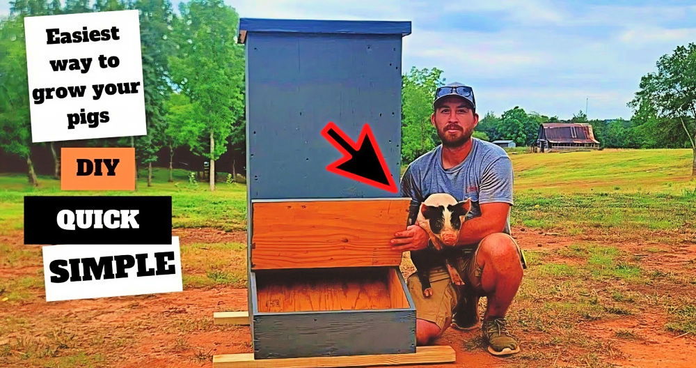 easy diy pig feeder tutorial