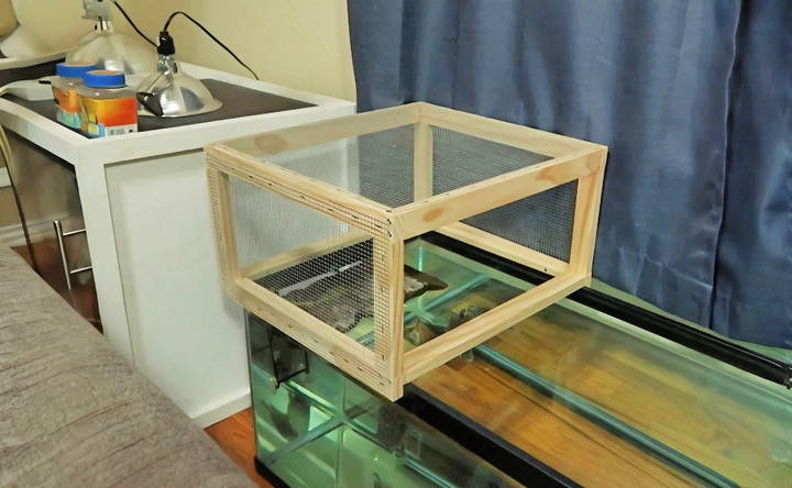 easy diy turtle basking area