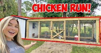 free chicken coop run woodworking plan