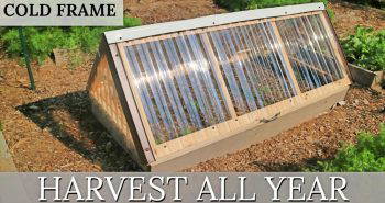 free cold frame woodworking plan