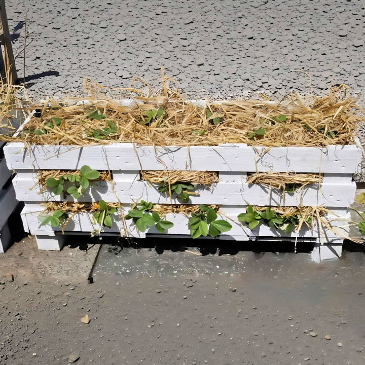 free pallet strawberry planter woodworking plan