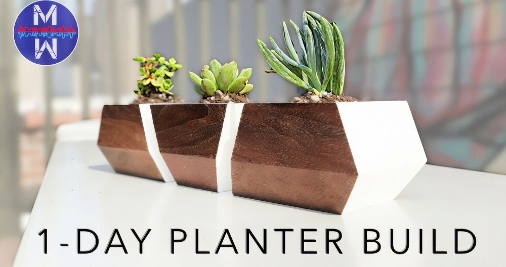 How to Make a DIY Succulent Planter