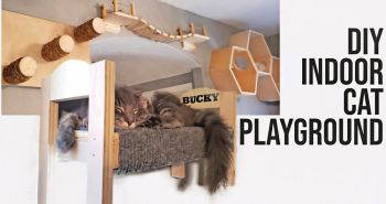 homemade cat wall mounted playground